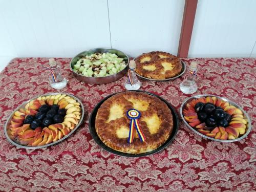 218028782_890513168340883_3381179579728362302_n