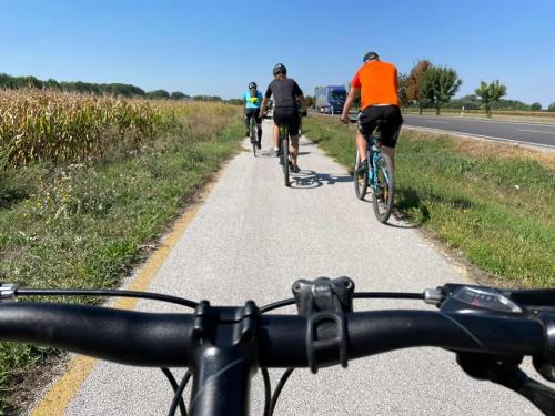 241803617_4304231239630929_5064208289032949725_n-1